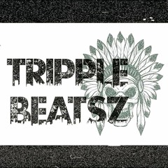 Tripple Beatsz - Overheid, snaveltje toe