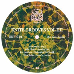 UKR O14 :: Gari Romalis / Mike Sharon / Eva Lansberg / Ultra Knites - Knite Grooves Vol. 4