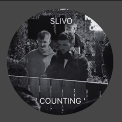 COUNTING - SLIVO (FREE DL)