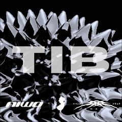niwo & RAW - TIB