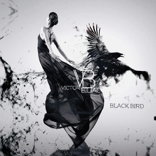 Victor Biliac - Black Bird ( EXTENDED VERSION )