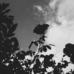 Baby don't look away (Holiday Freestyle 2020)