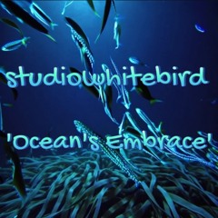 Ocean s Embrace
