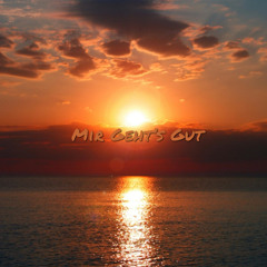 MiR_GehtS_GuT{RMX}