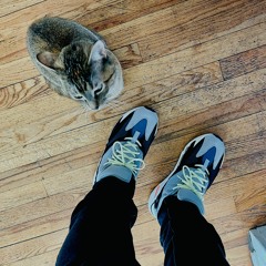 Toosies And Shoosie
