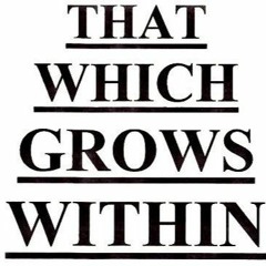 vIOLENCE (sHaDgRoW Version)