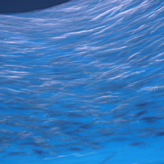 New World w/ Rafa - Feb 24, 2023