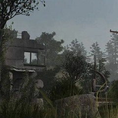 stalker anomaly track