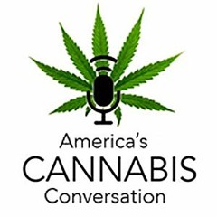 Stream W420 Radio Network | Listen to America's Cannabis Conversation  playlist online for free on SoundCloud