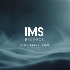 Tvm & Boral Kibil - I Need You (Original Mix) IMS RECORDS