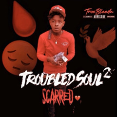 truebleeda - trouble soul 2