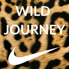 WILD JOURNEY: The Science Behind Nike Shoes Inspired by Animal Adaptations.