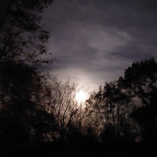 Wicked Game (Chris Isaak Cover)