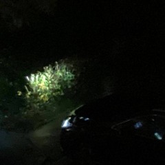 I can't more (prod. umisoja)