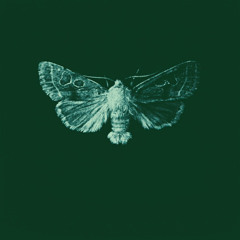 Souly - VIBRATION (prodbySilian + prod.fel1x)