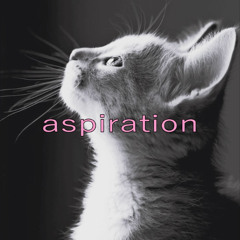 aspiration
