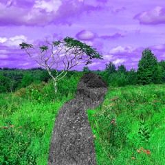 rainclouds (p. ohmygon)