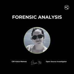 Analysing evidence that a photograph was likely staged