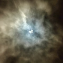 The Origin of the World