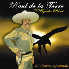 Stream El Corrido de Terrero (feat. Mariachi Tepatitlan de Valente Vargas)  by Raul De La Torre El Aguila Real | Listen online for free on SoundCloud
