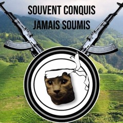 Tekos Vie