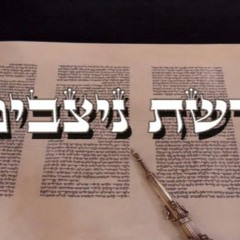 Torah Portion NITZAVIM / VAYELECH – Erev Shabbat (Brief Verrsion) (Audio)