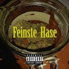 Carlos - Feinste Hase