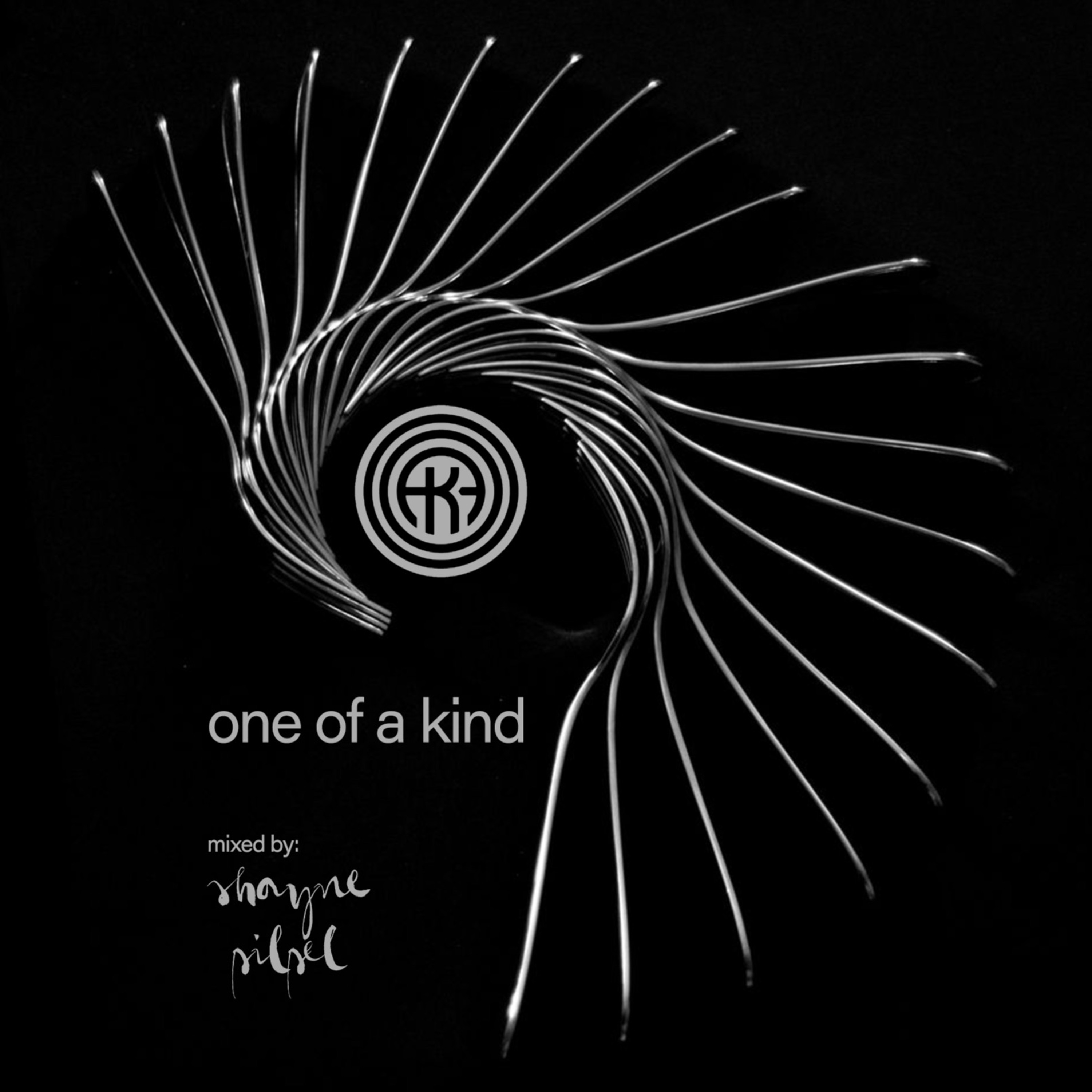 One of a Kind episode artwork