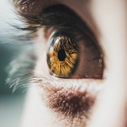 The Eyes Of A Reject