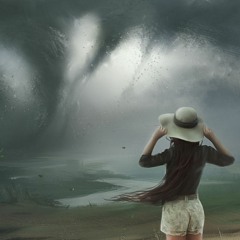 Storm's Coming
