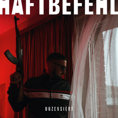 HAFTBEFEHL HARDTEKK REMIX - MAYSEREE