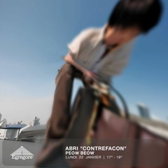 ABRI "CONTREFAÇON" - PEOW BEOW (Janvier 2024)