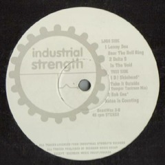 DJ Skinhead - Take It Outside (Temper Tantrum Mix)