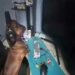 gaymer