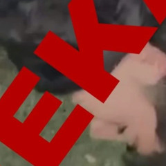 MUEVELO.MPE