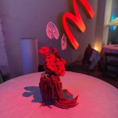 Craig Gonzalez DJ Set @ a private soiree 5/16/25