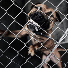 Trapped