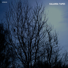 KALANDA TAPES ( SPRING 25 NEW RELEASES / deep / tech / minimal )