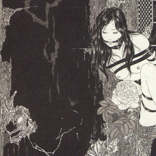 the innards of my empty shell.