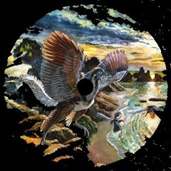 Vlaar - Archaeopteryx