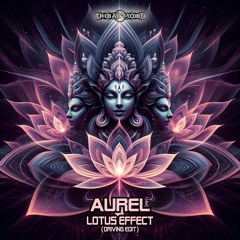 Lotus Effect (Driving Edit)