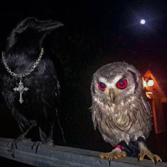 LEAK STARS - WickiBoi, YNG Santeen, Kyryl