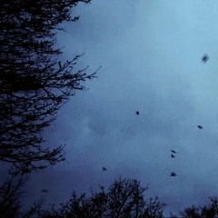 Ill be Fine (Prod. BluntWizard)