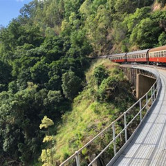 Best Skip The Line Kuranda Scenic Railway Gold Class And Skyrail Rainforest Cableway Tours Review