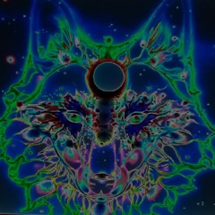 PSYTRANCE LEEOTA / PARTY ON PEOPLE/ PEACE AND LUV ONLY/by Paulleeota