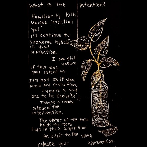 mycupisnthalfemptyorhalffullitscompletelygone