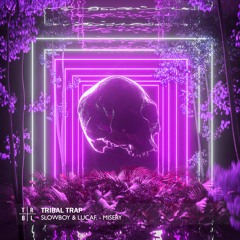 Slowboy & Lucaf. - Ily