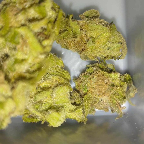 S A N T A - M U E R T E  3+9.mp3