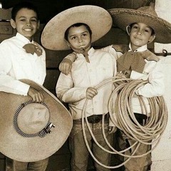 The 3 Amigos BMT -Live stream from Mallorca - 13/02/2021 - 20.30 set