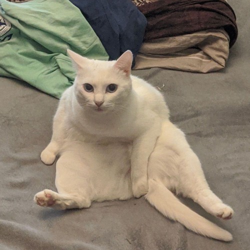 Nope your too late XXXTENTATION already died | mashup by djbarracuda